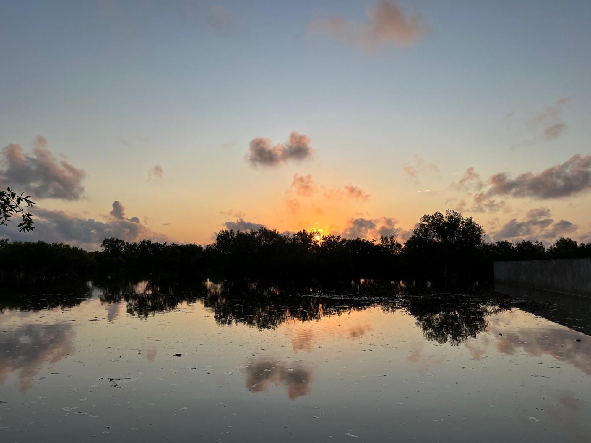 Mangrove House Hotel Lamu Bagian luar foto