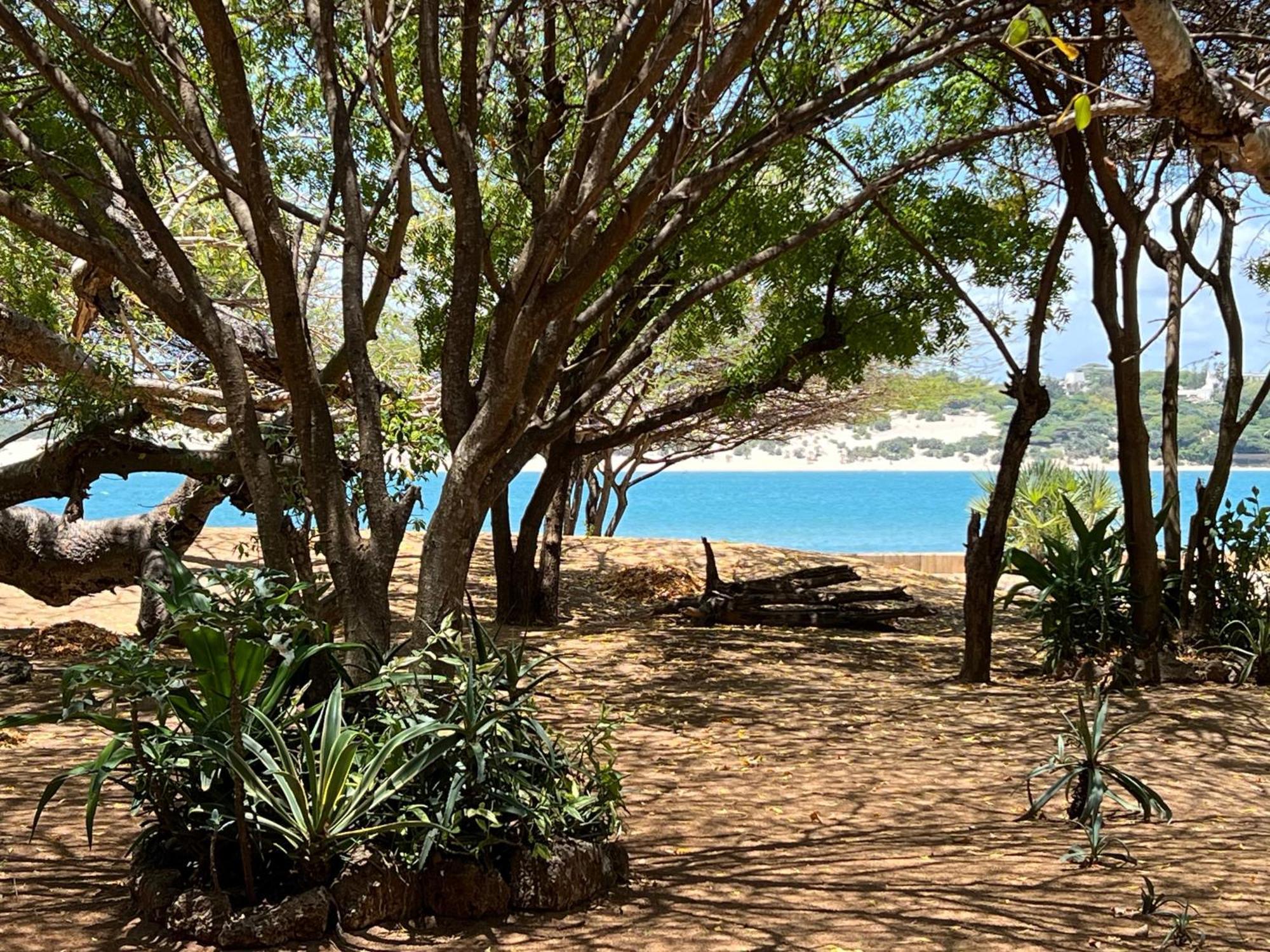 Mangrove House Hotel Lamu Bagian luar foto